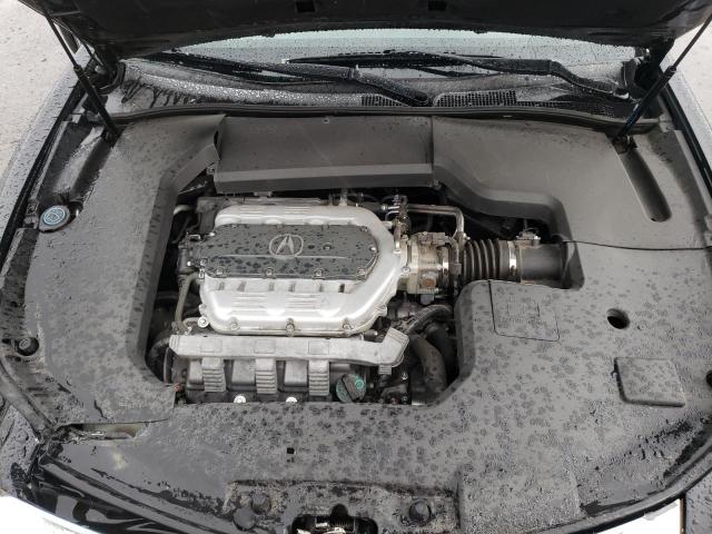 Photo 10 VIN: 19UUA86559A010791 - ACURA TL 