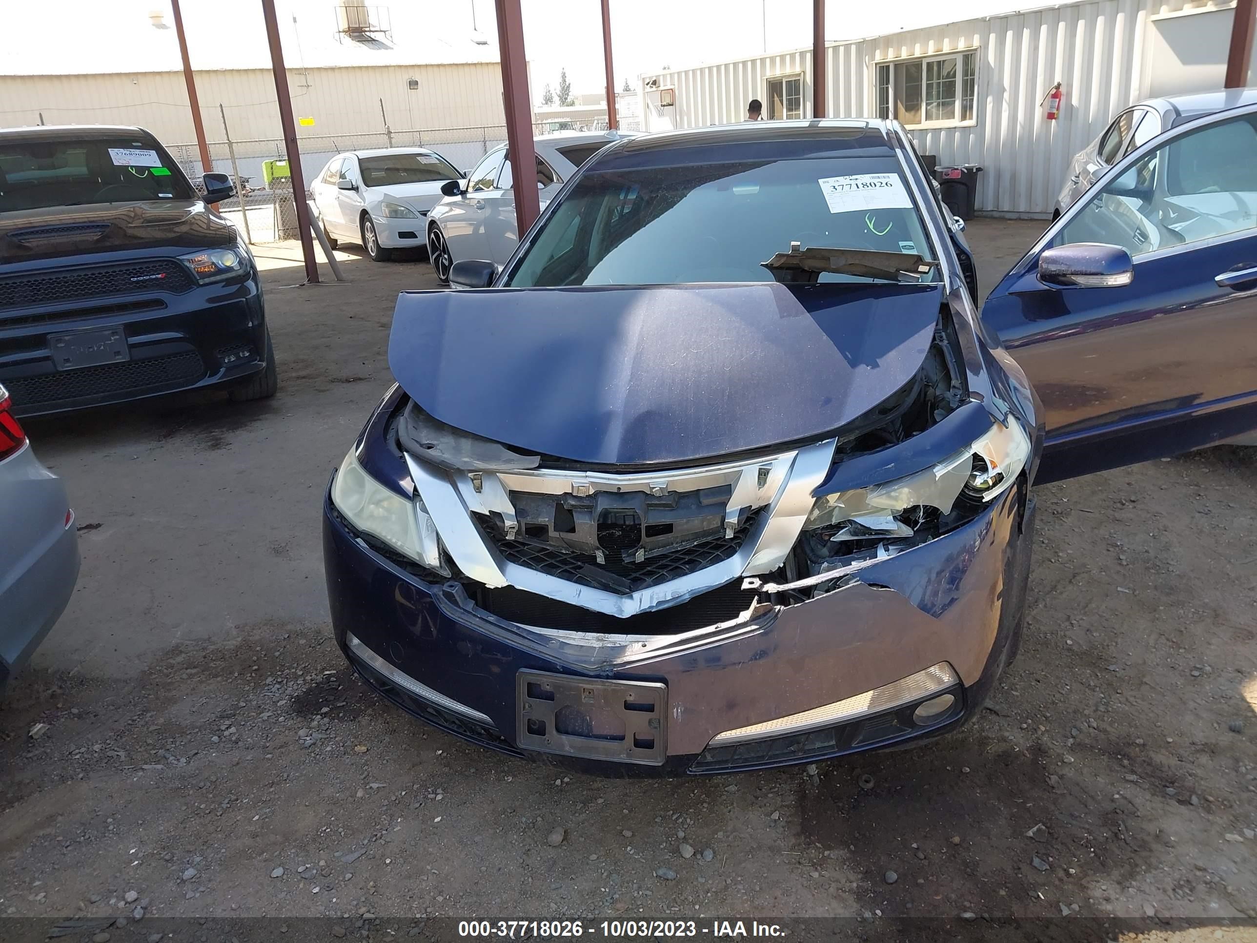 Photo 5 VIN: 19UUA86559A013352 - ACURA TL 