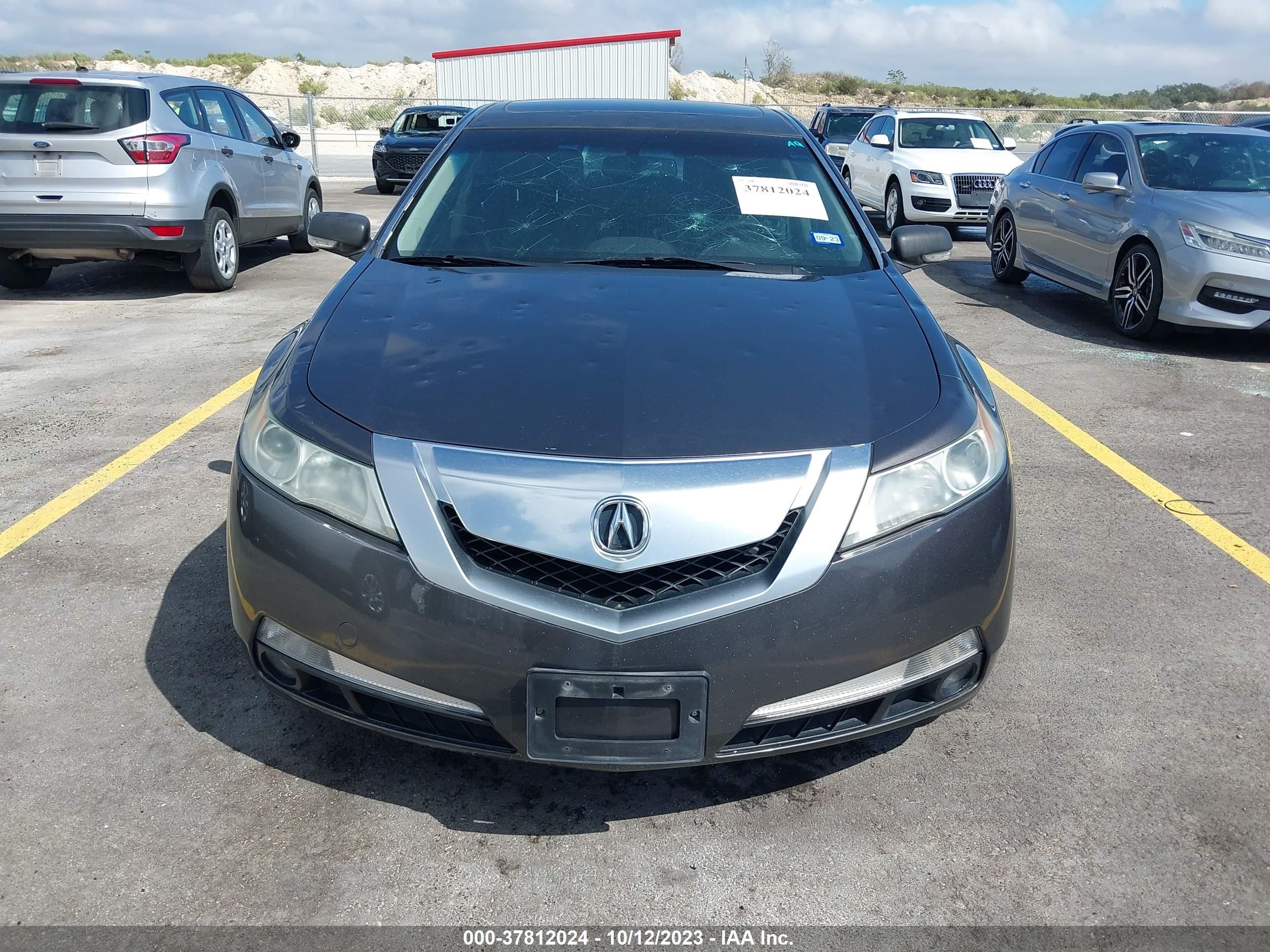 Photo 11 VIN: 19UUA86559A016915 - ACURA TL 