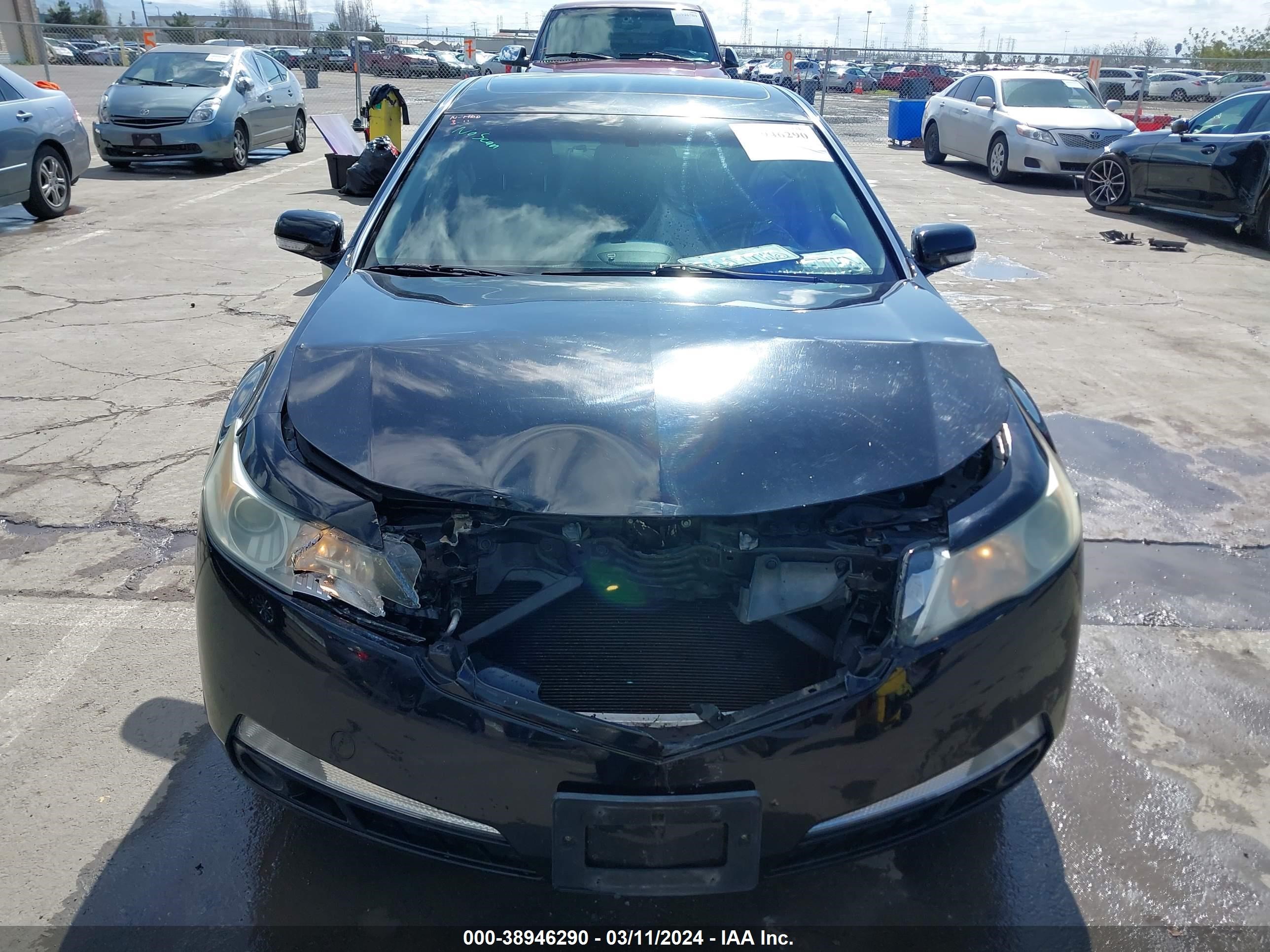 Photo 11 VIN: 19UUA86599A013323 - ACURA TL 