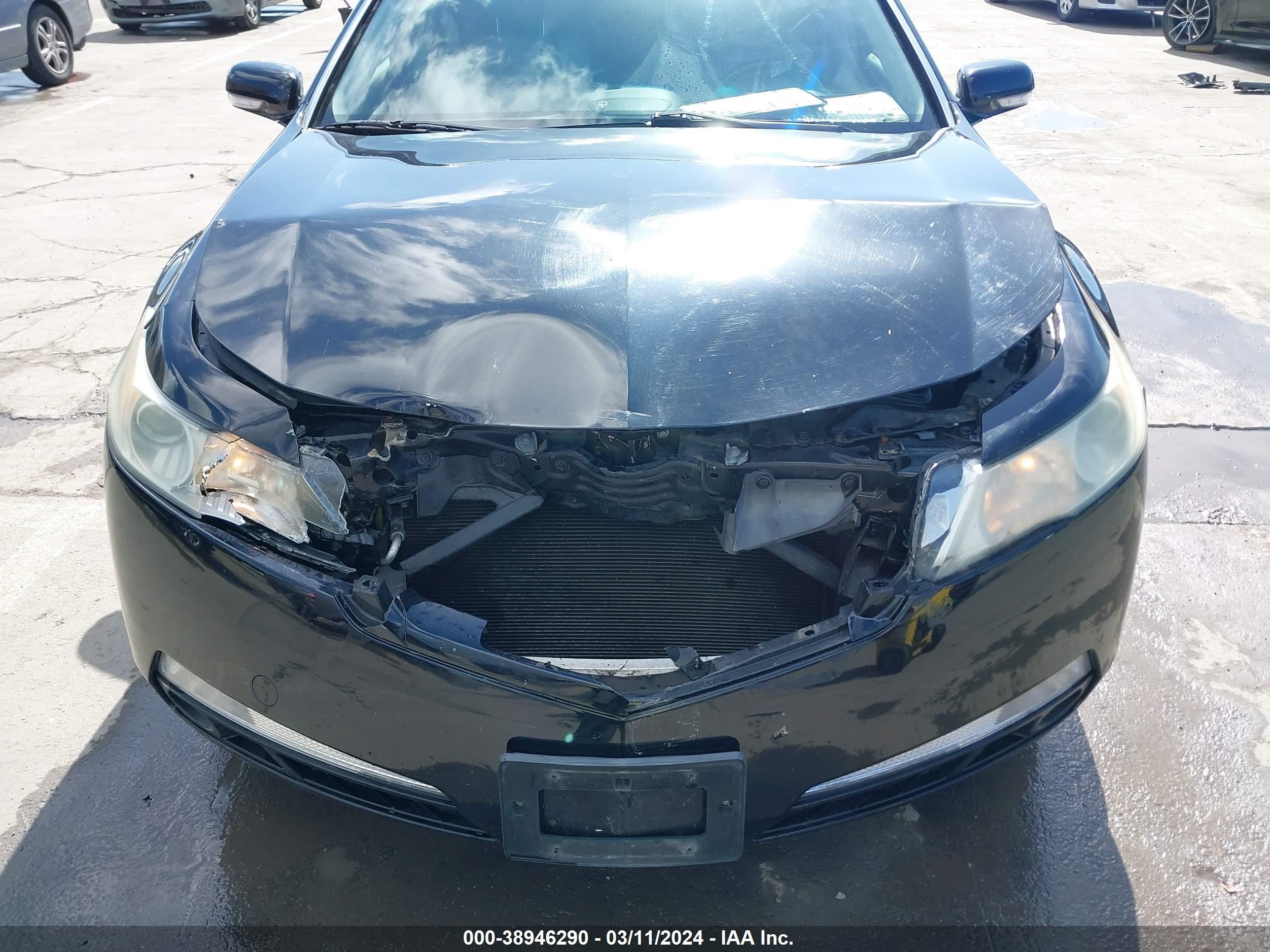 Photo 5 VIN: 19UUA86599A013323 - ACURA TL 