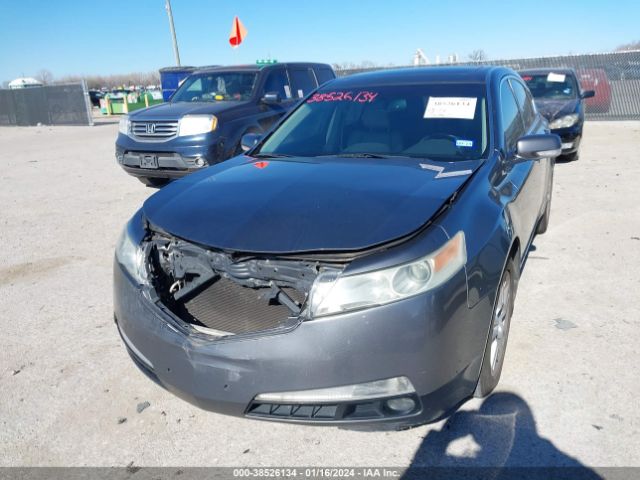 Photo 5 VIN: 19UUA8F20AA013799 - ACURA TL 