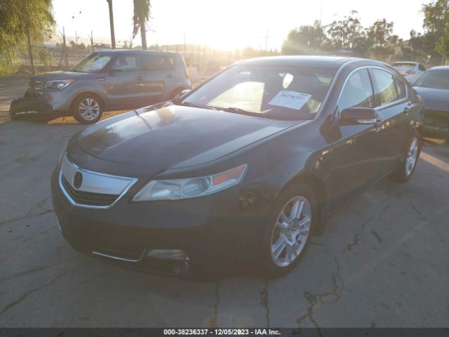 Photo 1 VIN: 19UUA8F20AA021675 - ACURA TL 