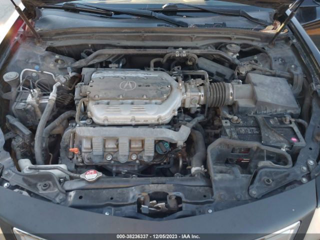 Photo 9 VIN: 19UUA8F20AA021675 - ACURA TL 