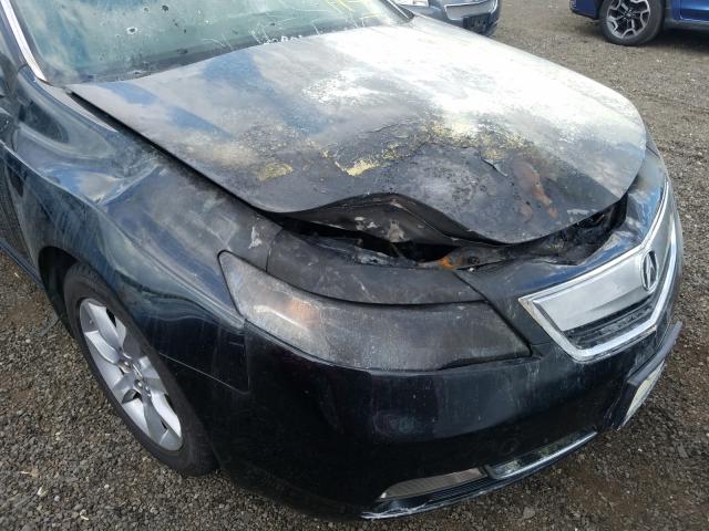 Photo 8 VIN: 19UUA8F20CA001834 - ACURA TL 