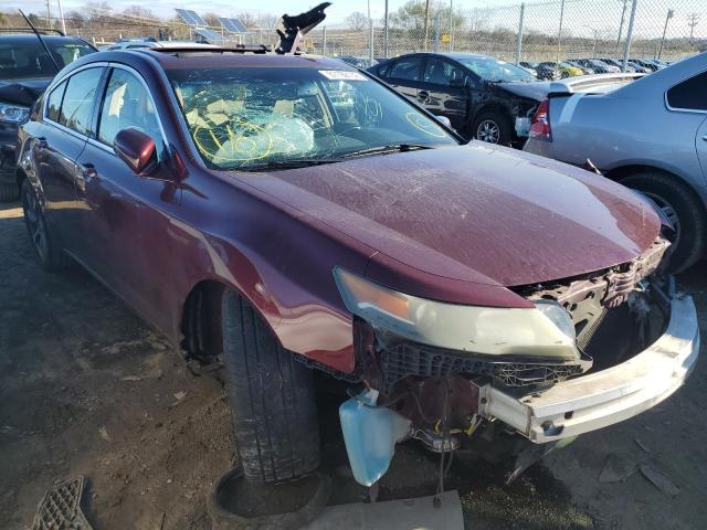 Photo 3 VIN: 19UUA8F20DA004203 - ACURA TL 