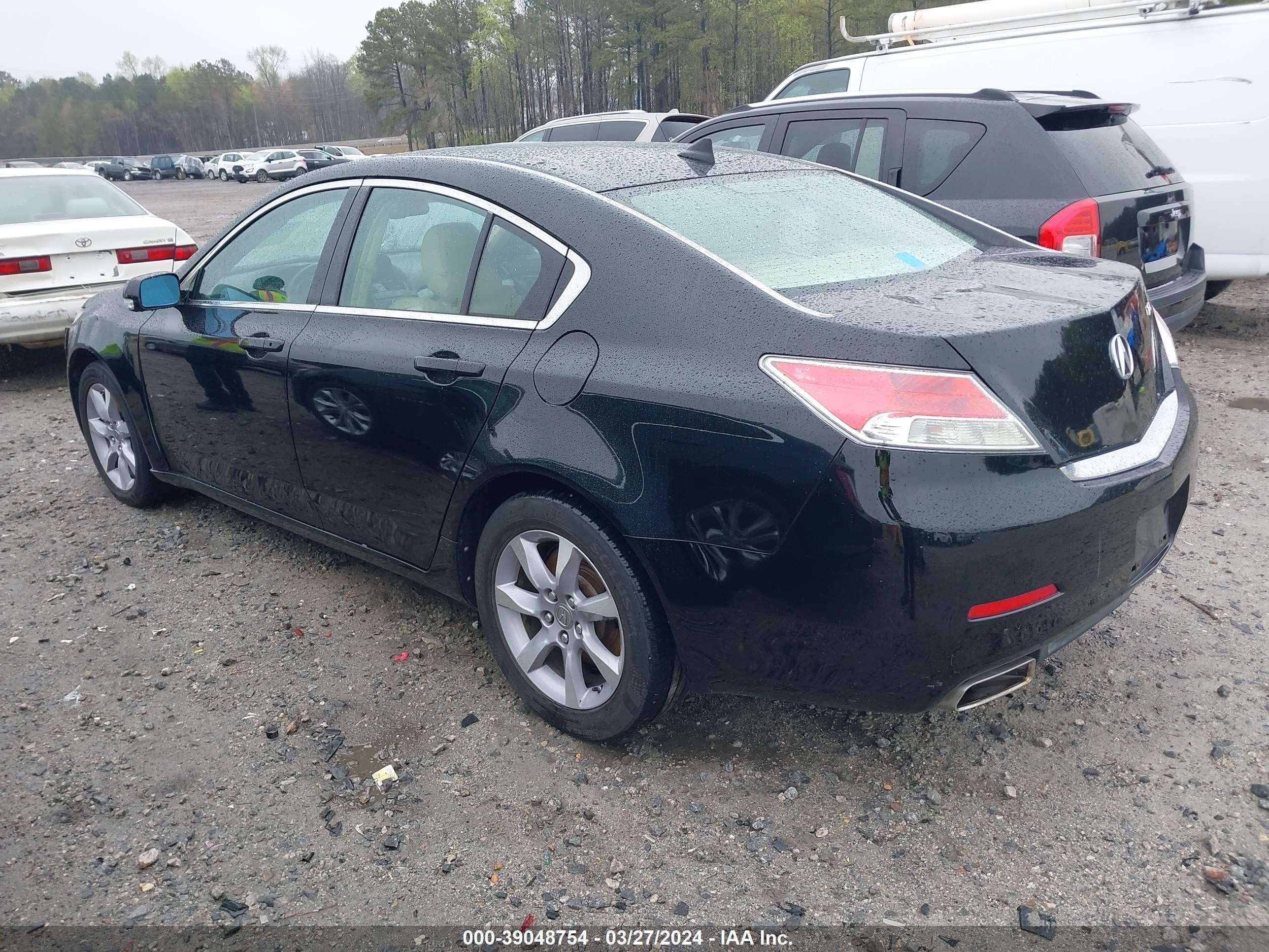 Photo 2 VIN: 19UUA8F20DA015928 - ACURA TL 