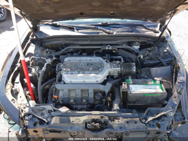 Photo 9 VIN: 19UUA8F20DA016433 - ACURA TL 