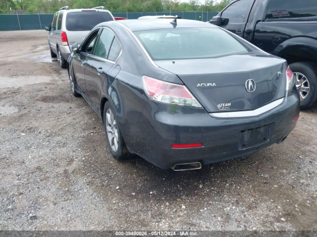 Photo 2 VIN: 19UUA8F21CA009019 - ACURA TL 