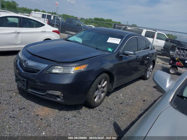 Photo 1 VIN: 19UUA8F21DA005859 - ACURA TL 