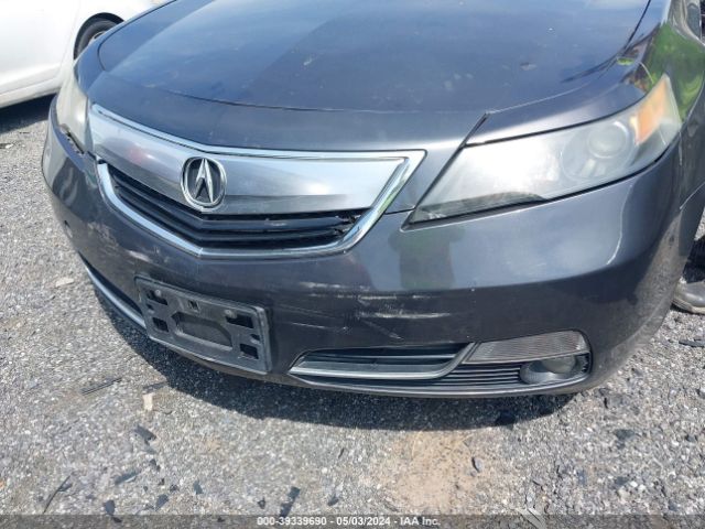 Photo 5 VIN: 19UUA8F21DA005859 - ACURA TL 