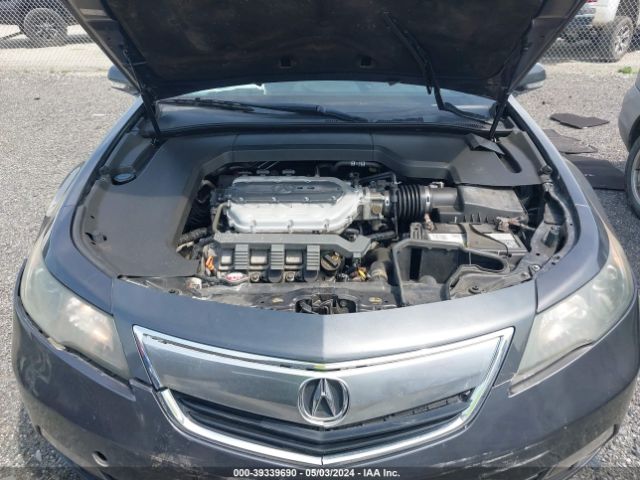 Photo 9 VIN: 19UUA8F21DA005859 - ACURA TL 