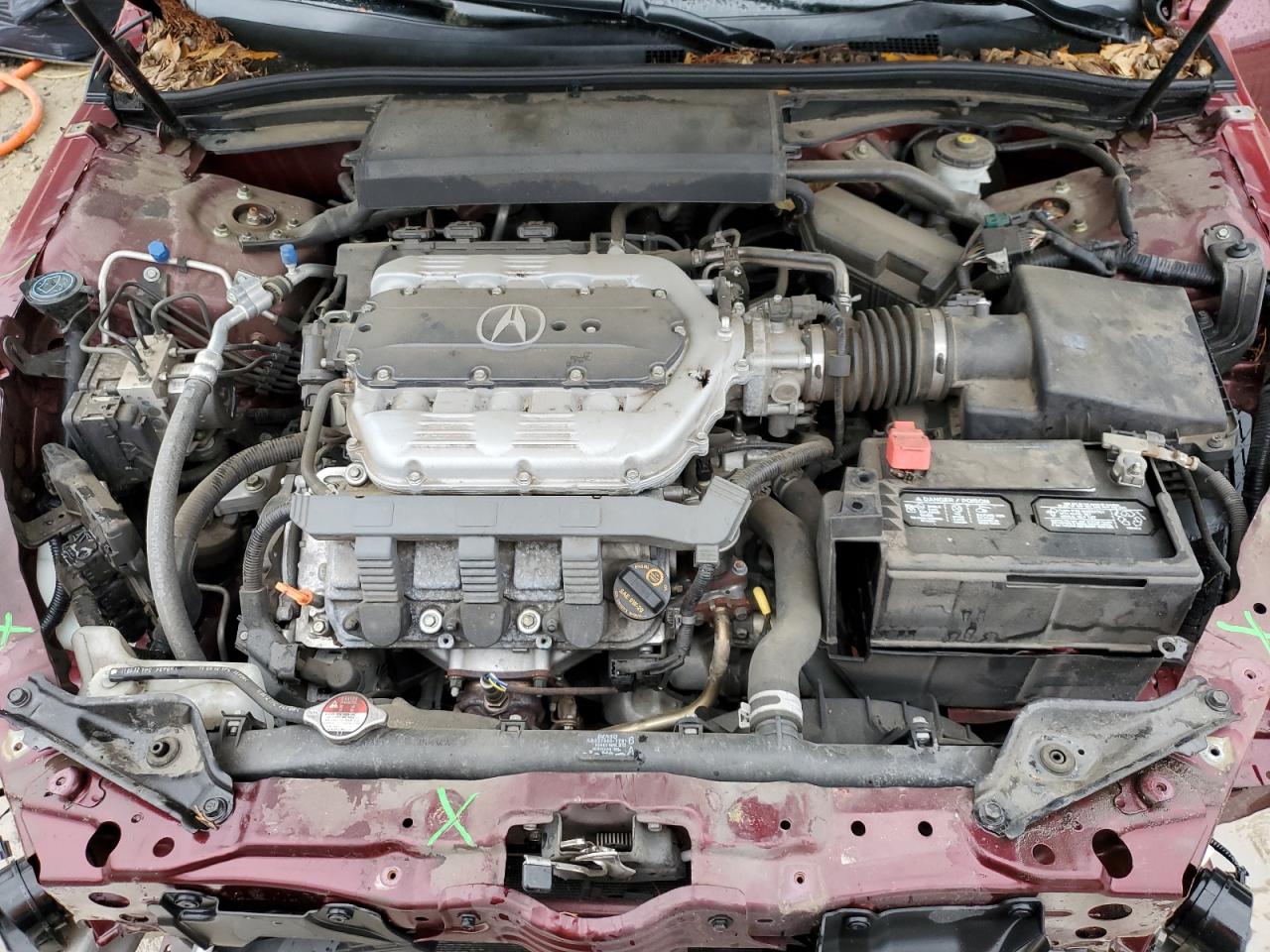 Photo 10 VIN: 19UUA8F21DA010219 - ACURA TL 