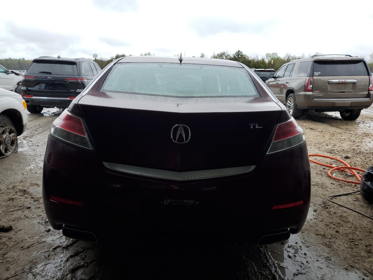 Photo 5 VIN: 19UUA8F21DA010219 - ACURA TL 