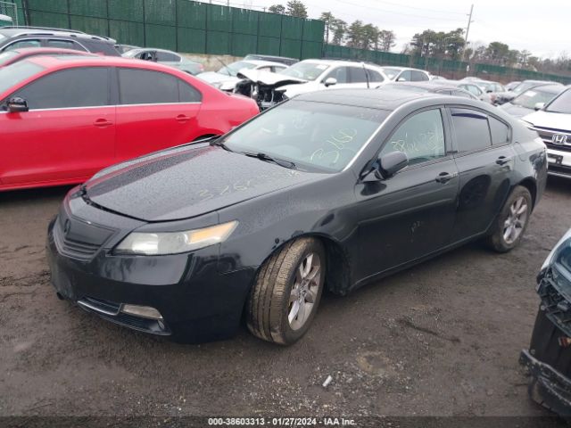 Photo 1 VIN: 19UUA8F21DA014979 - ACURA TL 