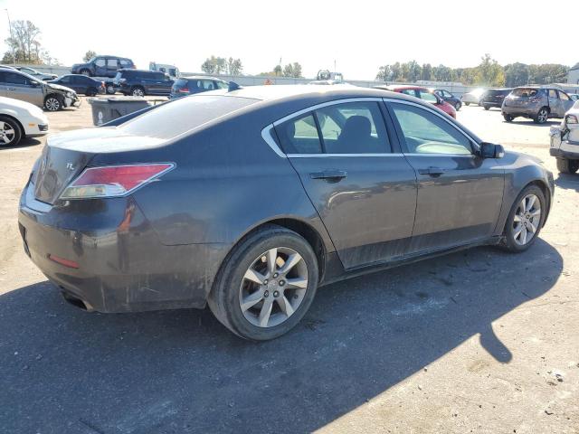 Photo 2 VIN: 19UUA8F22CA015119 - ACURA TL 