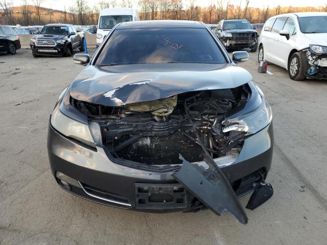 Photo 4 VIN: 19UUA8F22CA038092 - ACURA TL 