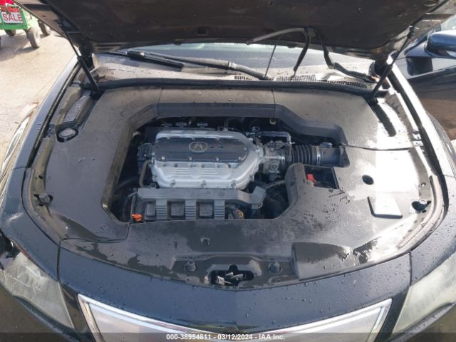 Photo 9 VIN: 19UUA8F22DA009743 - ACURA TL 