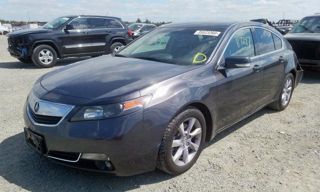 Photo 1 VIN: 19UUA8F22DA013646 - ACURA TL 