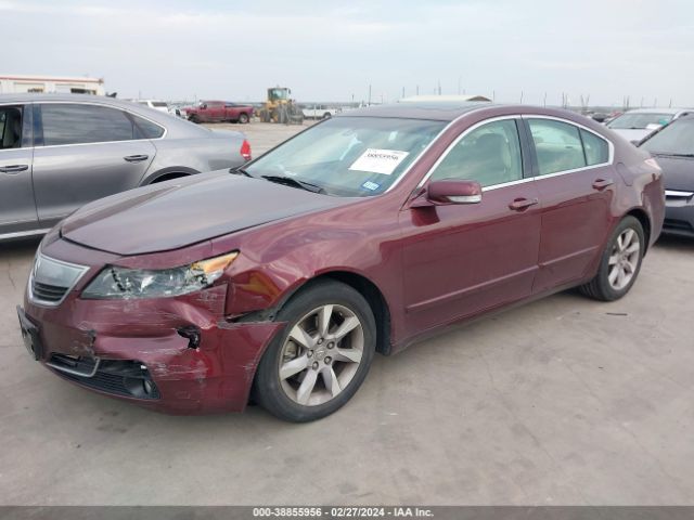 Photo 1 VIN: 19UUA8F22DA016000 - ACURA TL 