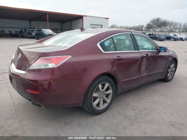 Photo 3 VIN: 19UUA8F22DA016000 - ACURA TL 