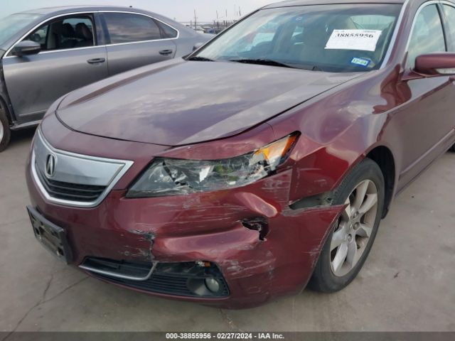 Photo 5 VIN: 19UUA8F22DA016000 - ACURA TL 