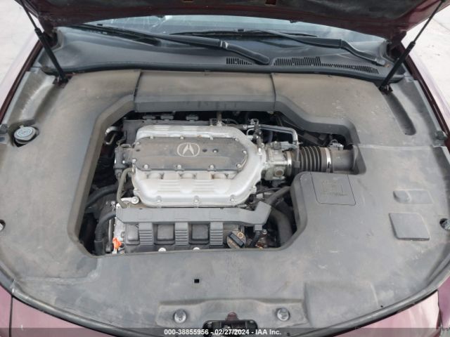 Photo 9 VIN: 19UUA8F22DA016000 - ACURA TL 