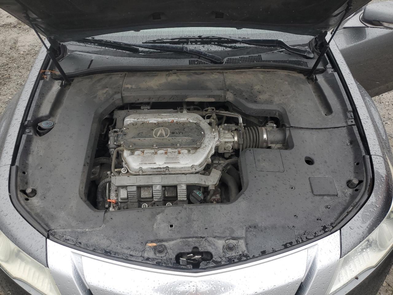 Photo 10 VIN: 19UUA8F23AA002960 - ACURA TL 