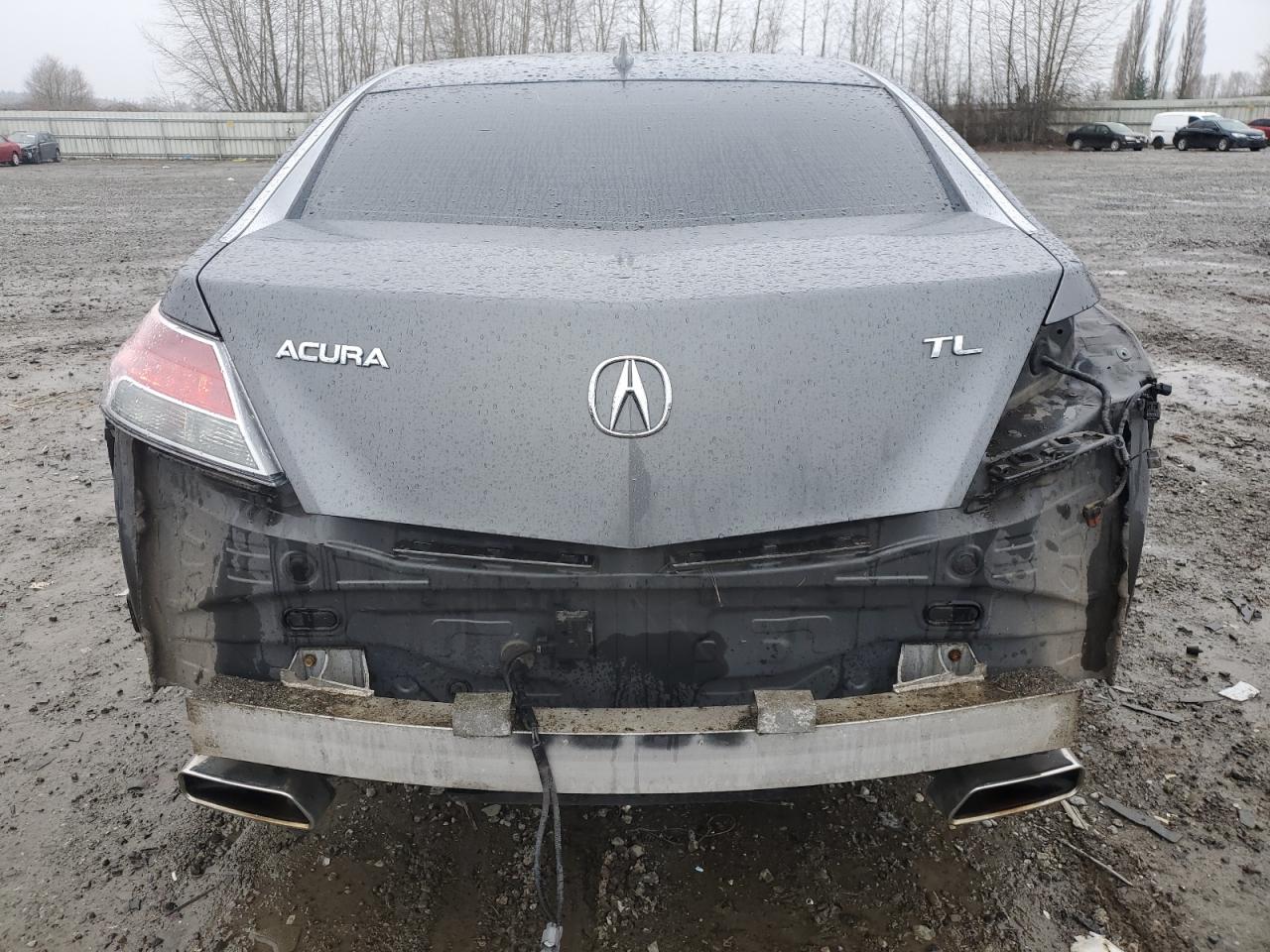 Photo 5 VIN: 19UUA8F23AA002960 - ACURA TL 