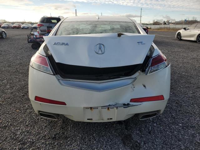 Photo 5 VIN: 19UUA8F23AA800746 - ACURA TL 