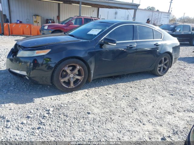 Photo 1 VIN: 19UUA8F23BA008100 - ACURA TL 