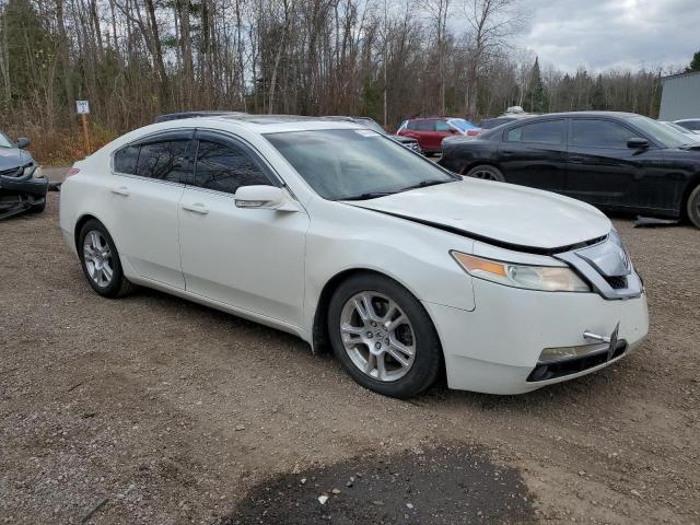 Photo 3 VIN: 19UUA8F23BA800070 - ACURA TL 