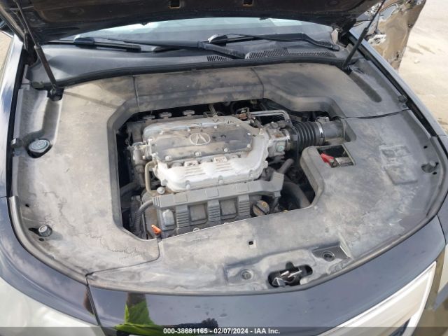 Photo 9 VIN: 19UUA8F23DA014935 - ACURA TL 