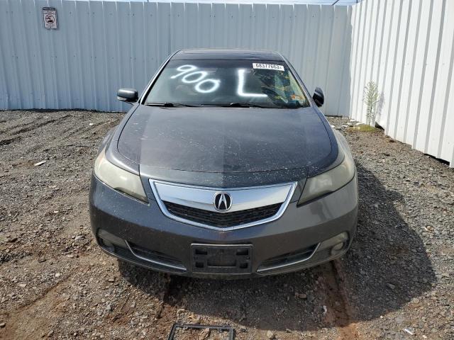 Photo 4 VIN: 19UUA8F24CA033766 - ACURA TL 