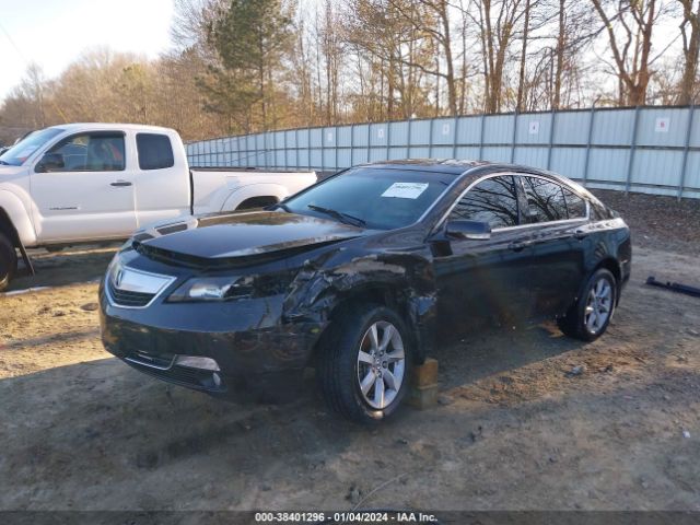 Photo 1 VIN: 19UUA8F24CA035842 - ACURA TL 