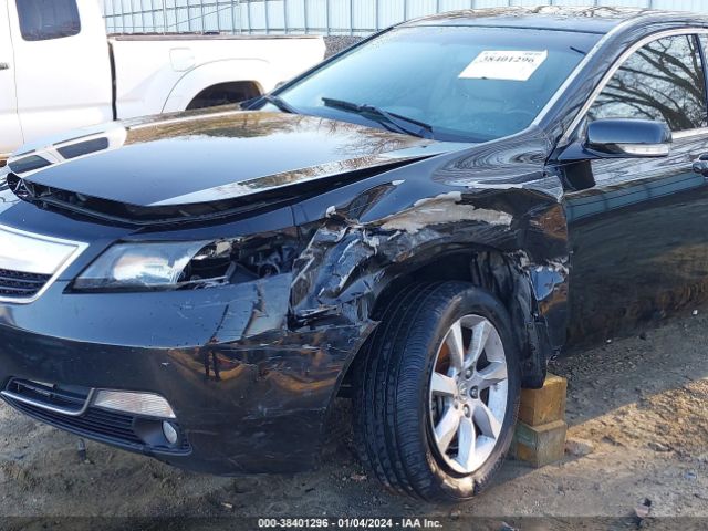 Photo 5 VIN: 19UUA8F24CA035842 - ACURA TL 