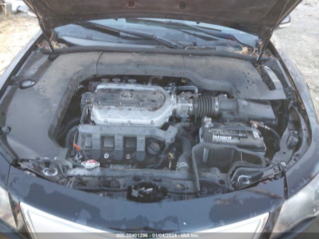 Photo 9 VIN: 19UUA8F24CA035842 - ACURA TL 