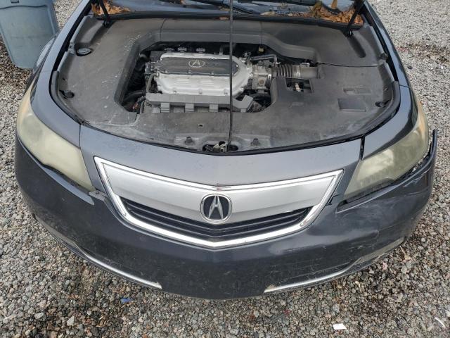 Photo 10 VIN: 19UUA8F24CA038093 - ACURA TL 