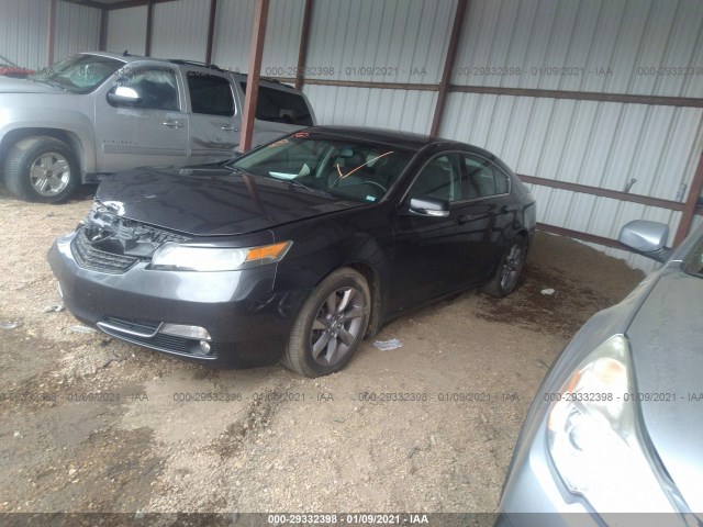 Photo 1 VIN: 19UUA8F24DA000557 - ACURA TL 