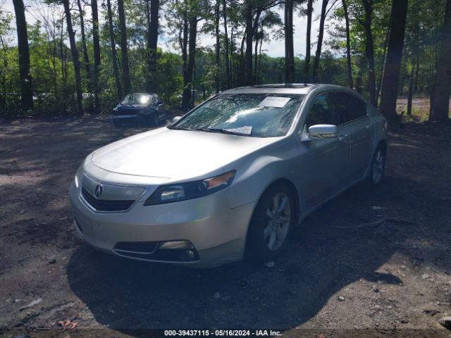 Photo 1 VIN: 19UUA8F24DA008948 - ACURA TL 