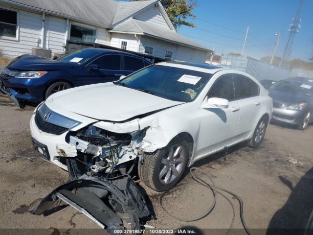 Photo 1 VIN: 19UUA8F24DA011879 - ACURA TL 