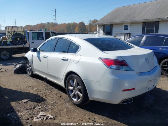 Photo 2 VIN: 19UUA8F24DA011879 - ACURA TL 