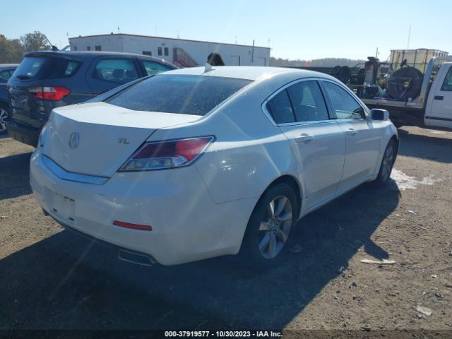 Photo 3 VIN: 19UUA8F24DA011879 - ACURA TL 