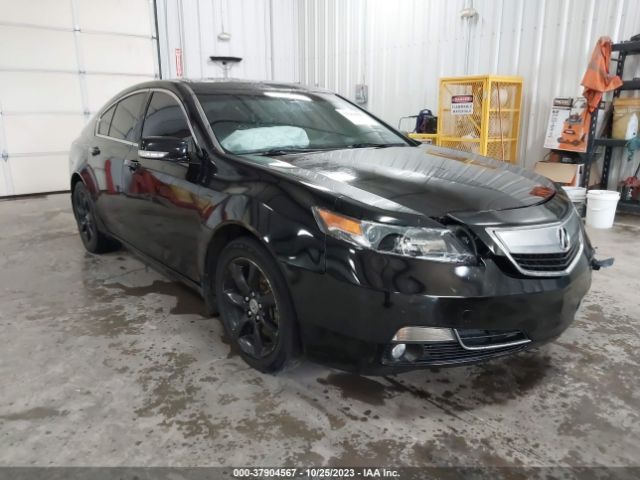 Photo 0 VIN: 19UUA8F24DA012451 - ACURA TL 