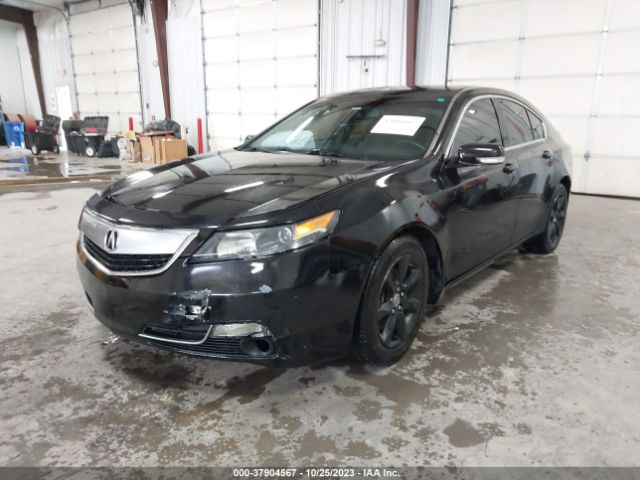 Photo 1 VIN: 19UUA8F24DA012451 - ACURA TL 