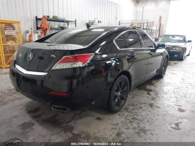 Photo 3 VIN: 19UUA8F24DA012451 - ACURA TL 