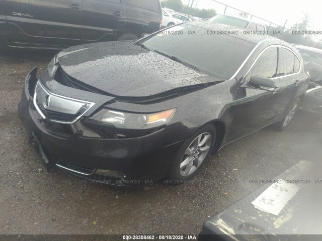 Photo 1 VIN: 19UUA8F24DA015639 - ACURA TL 