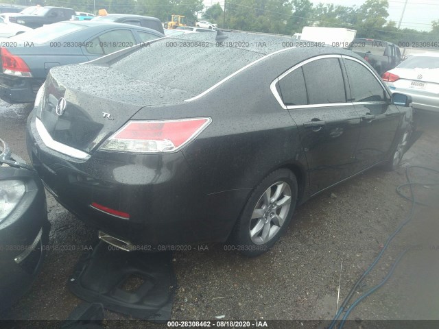 Photo 3 VIN: 19UUA8F24DA015639 - ACURA TL 