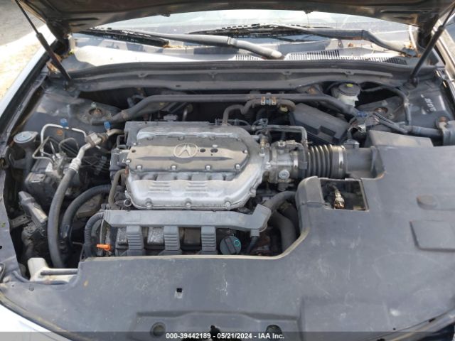 Photo 9 VIN: 19UUA8F25BA008647 - ACURA TL 