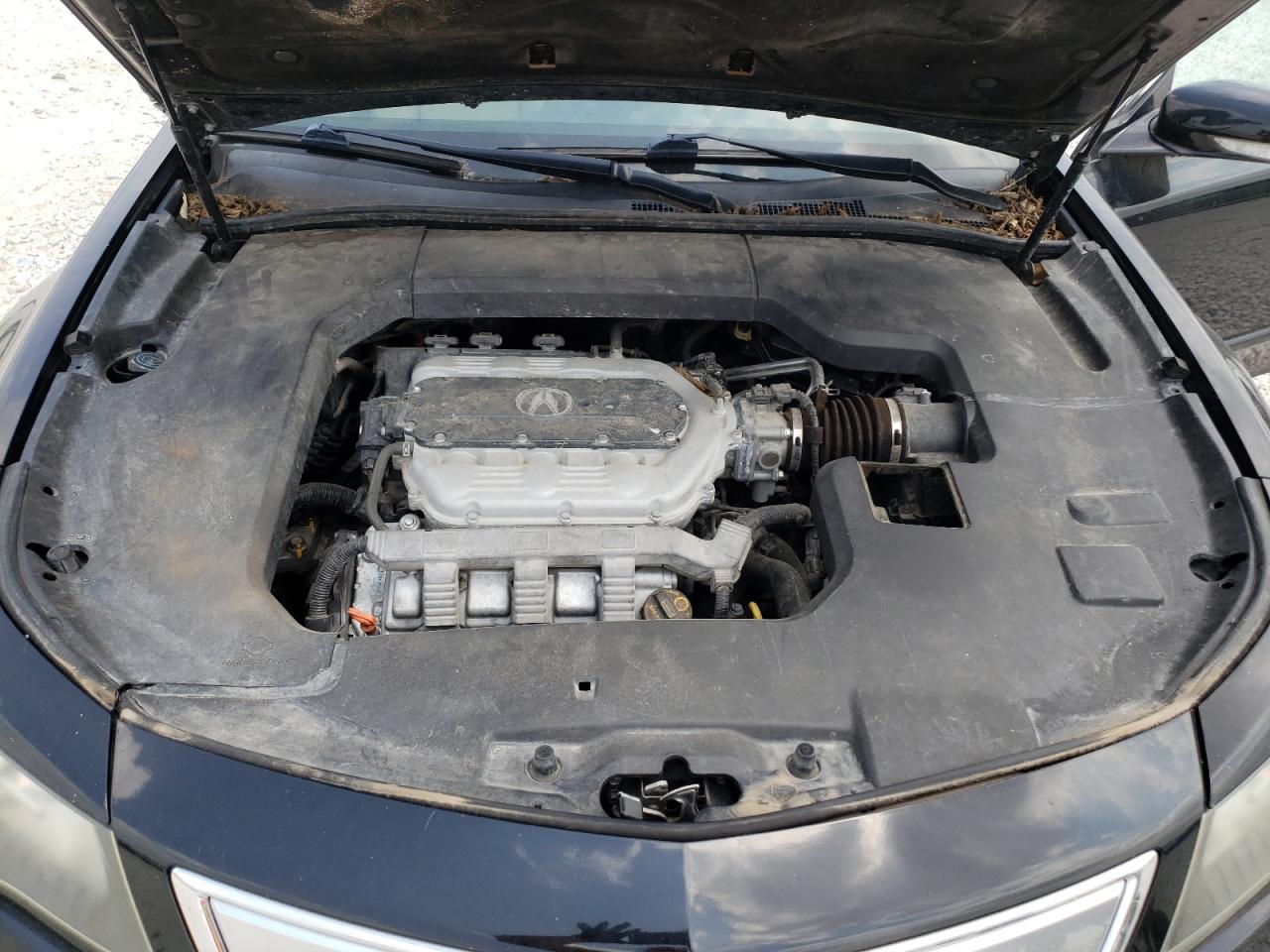 Photo 10 VIN: 19UUA8F25CA001120 - ACURA TL 